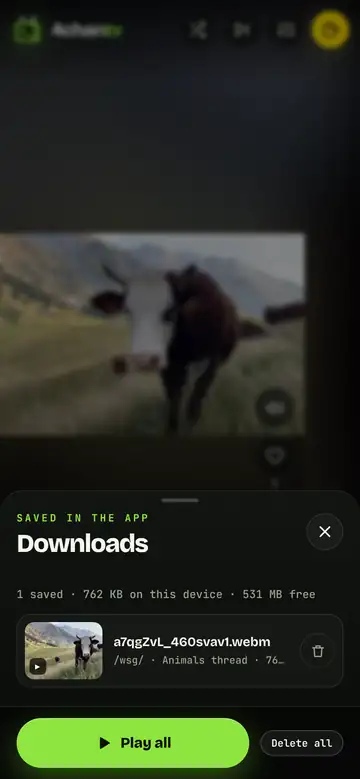 The Downloads sheet listing one saved clip with its thumbnail and a Play all button